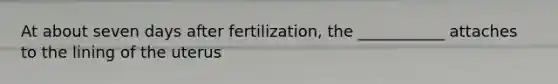 At about seven days after fertilization, the ___________ attaches to the lining of the uterus