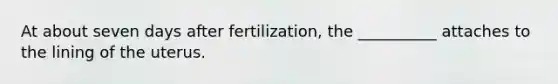 At about seven days after fertilization, the __________ attaches to the lining of the uterus.