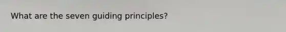 What are the seven guiding principles?