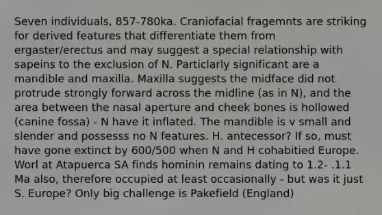 Seven individuals, 857-780ka. Craniofacial fragemnts are striking for derived features that differentiate them from ergaster/erectus and may suggest a special relationship with sapeins to the exclusion of N. Particlarly significant are a mandible and maxilla. Maxilla suggests the midface did not protrude strongly forward across the midline (as in N), and the area between the nasal aperture and cheek bones is hollowed (canine fossa) - N have it inflated. The mandible is v small and slender and possesss no N features. H. antecessor? If so, must have gone extinct by 600/500 when N and H cohabitied Europe. Worl at Atapuerca SA finds hominin remains dating to 1.2- .1.1 Ma also, therefore occupied at least occasionally - but was it just S. Europe? Only big challenge is Pakefield (England)