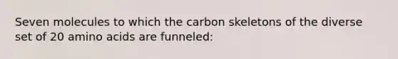 Seven molecules to which the carbon skeletons of the diverse set of 20 amino acids are funneled: