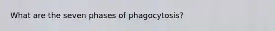 What are the seven phases of phagocytosis?