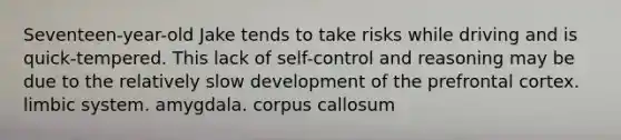 Seventeen-year-old Jake tends to take risks while driving and is quick-tempered. This lack of self-control and reasoning may be due to the relatively slow development of the prefrontal cortex. limbic system. amygdala. corpus callosum