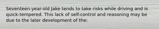 Seventeen-year-old Jake tends to take risks while driving and is quick-tempered. This lack of self-control and reasoning may be due to the later development of the: