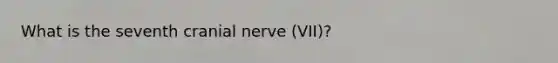 What is the seventh cranial nerve (VII)?