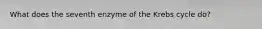 What does the seventh enzyme of the Krebs cycle do?