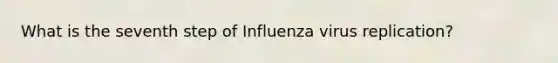 What is the seventh step of Influenza virus replication?