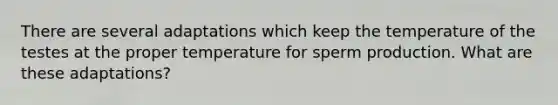 There are several adaptations which keep the temperature of the testes at the proper temperature for sperm production. What are these adaptations?