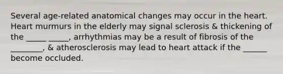 Several age-related anatomical changes may occur in the heart. Heart murmurs in the elderly may signal sclerosis & thickening of the _____ _____, arrhythmias may be a result of fibrosis of the ________, & atherosclerosis may lead to heart attack if the ______ become occluded.