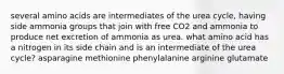 several amino acids are intermediates of the urea cycle, having side ammonia groups that join with free CO2 and ammonia to produce net excretion of ammonia as urea. what amino acid has a nitrogen in its side chain and is an intermediate of the urea cycle? asparagine methionine phenylalanine arginine glutamate