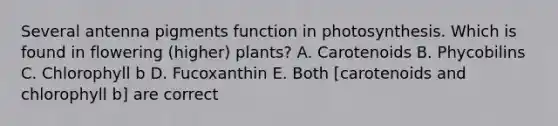 Several antenna pigments function in photosynthesis. Which is found in flowering (higher) plants? A. Carotenoids B. Phycobilins C. Chlorophyll b D. Fucoxanthin E. Both [carotenoids and chlorophyll b] are correct