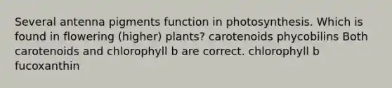 Several antenna pigments function in photosynthesis. Which is found in flowering (higher) plants? carotenoids phycobilins Both carotenoids and chlorophyll b are correct. chlorophyll b fucoxanthin