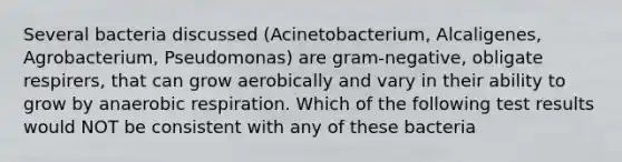 Several bacteria discussed (Acinetobacterium, Alcaligenes, Agrobacterium, Pseudomonas) are gram-negative, obligate respirers, that can grow aerobically and vary in their ability to grow by anaerobic respiration. Which of the following test results would NOT be consistent with any of these bacteria