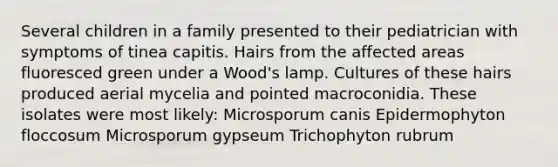 Several children in a family presented to their pediatrician with symptoms of tinea capitis. Hairs from the affected areas fluoresced green under a Wood's lamp. Cultures of these hairs produced aerial mycelia and pointed macroconidia. These isolates were most likely: Microsporum canis Epidermophyton floccosum Microsporum gypseum Trichophyton rubrum