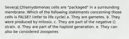 Several Chlamydomonas cells are "packaged" in a surrounding membrane. Which of the following statements concerning those cells is FALSE? (refer to life cycle) a. They are gametes. b. They were produced by mitosis. c. They are part of the negative () strain. d. They are part of the haploid generation. e. They can also be considered zoospores