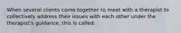 When several clients come together to meet with a therapist to collectively address their issues with each other under the therapist's guidance, this is called: