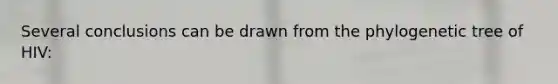 Several conclusions can be drawn from the phylogenetic tree of HIV: