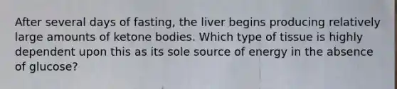 After several days of fasting, the liver begins producing relatively large amounts of ketone bodies. Which type of tissue is highly dependent upon this as its sole source of energy in the absence of glucose?