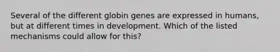 Several of the different globin genes are expressed in humans, but at different times in development. Which of the listed mechanisms could allow for this?