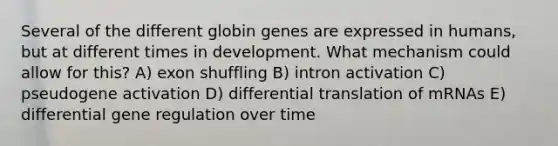 Several of the different globin genes are expressed in humans, but at different times in development. What mechanism could allow for this? A) exon shuffling B) intron activation C) pseudogene activation D) differential translation of mRNAs E) differential gene regulation over time