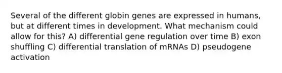 Several of the different globin genes are expressed in humans, but at different times in development. What mechanism could allow for this? A) differential gene regulation over time B) exon shuffling C) differential translation of mRNAs D) pseudogene activation