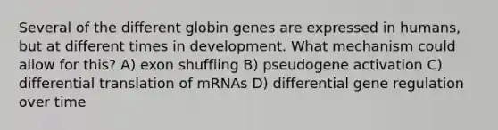 Several of the different globin genes are expressed in humans, but at different times in development. What mechanism could allow for this? A) exon shuffling B) pseudogene activation C) differential translation of mRNAs D) differential gene regulation over time