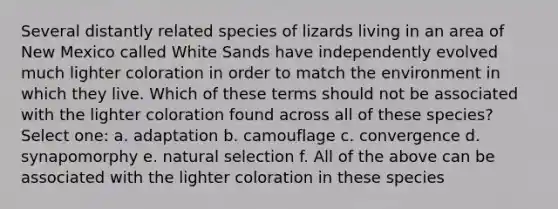 Several distantly related species of lizards living in an area of New Mexico called White Sands have independently evolved much lighter coloration in order to match the environment in which they live. Which of these terms should not be associated with the lighter coloration found across all of these species? Select one: a. adaptation b. camouflage c. convergence d. synapomorphy e. natural selection f. All of the above can be associated with the lighter coloration in these species