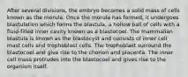 After several divisions, the embryo becomes a solid mass of cells known as the morula. Once the morula has formed, it undergoes blastulation which forms the blastula, a hollow ball of cells with a fluid-filled inner cavity known as a blastocoel. The mammalian blastula is known as the blastocyst and consists of inner cell mast cells and trophoblast cells. The trophoblast surround the blastocoel and give rise to the chorion and placenta. The inner cell mass protrudes into the blastocoel and gives rise to the organism itself.