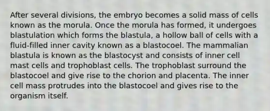 After several divisions, the embryo becomes a solid mass of cells known as the morula. Once the morula has formed, it undergoes blastulation which forms the blastula, a hollow ball of cells with a fluid-filled inner cavity known as a blastocoel. The mammalian blastula is known as the blastocyst and consists of inner cell mast cells and trophoblast cells. The trophoblast surround the blastocoel and give rise to the chorion and placenta. The inner cell mass protrudes into the blastocoel and gives rise to the organism itself.