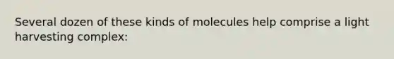 Several dozen of these kinds of molecules help comprise a light harvesting complex: