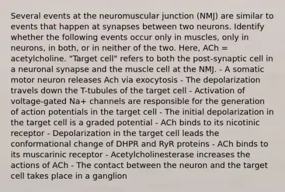 Several events at the neuromuscular junction (NMJ) are similar to events that happen at synapses between two neurons. Identify whether the following events occur only in muscles, only in neurons, in both, or in neither of the two. Here, ACh = acetylcholine. "Target cell" refers to both the post-synaptic cell in a neuronal synapse and the muscle cell at the NMJ. - A somatic motor neuron releases Ach via exocytosis - The depolarization travels down the T-tubules of the target cell - Activation of voltage-gated Na+ channels are responsible for the generation of action potentials in the target cell - The initial depolarization in the target cell is a graded potential - ACh binds to its nicotinic receptor - Depolarization in the target cell leads the conformational change of DHPR and RyR proteins - ACh binds to its muscarinic receptor - Acetylcholinesterase increases the actions of ACh - The contact between the neuron and the target cell takes place in a ganglion