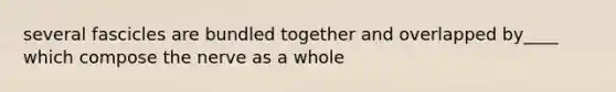 several fascicles are bundled together and overlapped by____ which compose the nerve as a whole