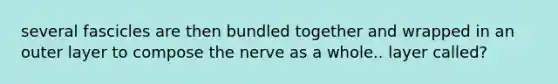 several fascicles are then bundled together and wrapped in an outer layer to compose the nerve as a whole.. layer called?