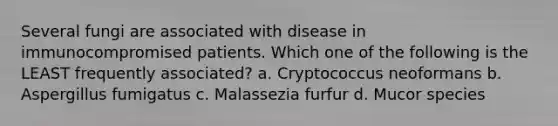 Several fungi are associated with disease in immunocompromised patients. Which one of the following is the LEAST frequently associated? a. Cryptococcus neoformans b. Aspergillus fumigatus c. Malassezia furfur d. Mucor species