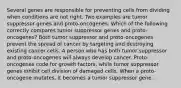 Several genes are responsible for preventing cells from dividing when conditions are not right. Two examples are tumor suppressor genes and proto-oncogenes. Which of the following correctly compares tumor suppressor genes and proto-oncogenes? Both tumor suppressor and proto-oncogenes prevent the spread of cancer by targeting and destroying existing cancer cells. A person who has both tumor suppressor and proto-oncogenes will always develop cancer. Proto-oncogenes code for growth factors, while tumor suppressor genes inhibit cell division of damaged cells. When a proto-oncogene mutates, it becomes a tumor suppressor gene.