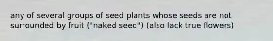 any of several groups of seed plants whose seeds are not surrounded by fruit ("naked seed") (also lack true flowers)