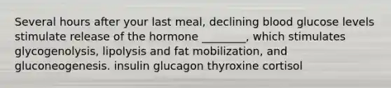 Several hours after your last meal, declining blood glucose levels stimulate release of the hormone ________, which stimulates glycogenolysis, lipolysis and fat mobilization, and gluconeogenesis. insulin glucagon thyroxine cortisol