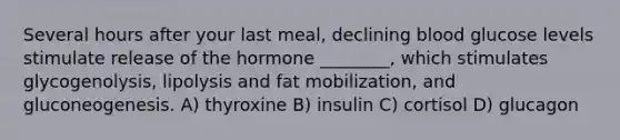 Several hours after your last meal, declining blood glucose levels stimulate release of the hormone ________, which stimulates glycogenolysis, lipolysis and fat mobilization, and gluconeogenesis. A) thyroxine B) insulin C) cortisol D) glucagon