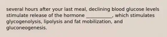 several hours after your last meal, declining blood glucose levels stimulate release of the hormone ___________, which stimulates glycogenolysis, lipolysis and fat mobilization, and gluconeogenesis.