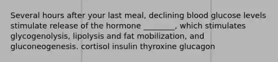 Several hours after your last meal, declining blood glucose levels stimulate release of the hormone ________, which stimulates glycogenolysis, lipolysis and fat mobilization, and gluconeogenesis. cortisol insulin thyroxine glucagon