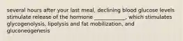 several hours after your last meal, declining blood glucose levels stimulate release of the hormone ____________, which stimulates glycogenolysis, lipolysis and fat mobilization, and gluconeogenesis