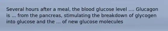 Several hours after a meal, the blood glucose level .... Glucagon is ... from the pancreas, stimulating the breakdown of glycogen into glucose and the ... of new glucose molecules