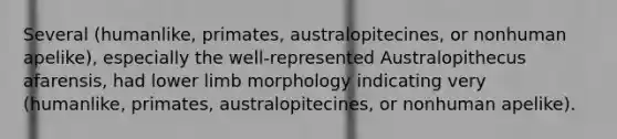 Several (humanlike, primates, australopitecines, or nonhuman apelike), especially the well-represented Australopithecus afarensis, had lower limb morphology indicating very (humanlike, primates, australopitecines, or nonhuman apelike).