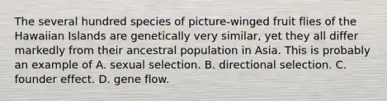 The several hundred species of picture-winged fruit flies of the Hawaiian Islands are genetically very similar, yet they all differ markedly from their ancestral population in Asia. This is probably an example of A. sexual selection. B. directional selection. C. founder effect. D. gene flow.