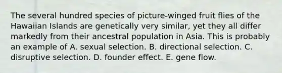 The several hundred species of picture-winged fruit flies of the Hawaiian Islands are genetically very similar, yet they all differ markedly from their ancestral population in Asia. This is probably an example of A. sexual selection. B. directional selection. C. disruptive selection. D. founder effect. E. gene flow.