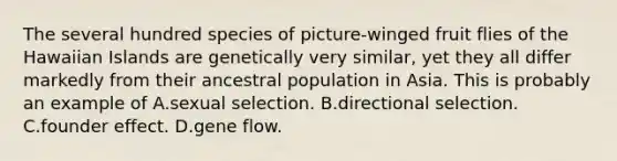 The several hundred species of picture-winged fruit flies of the Hawaiian Islands are genetically very similar, yet they all differ markedly from their ancestral population in Asia. This is probably an example of A.sexual selection. B.directional selection. C.founder effect. D.gene flow.