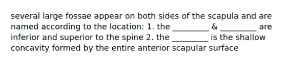 several large fossae appear on both sides of the scapula and are named according to the location: 1. the _________ & _________ are inferior and superior to the spine 2. the _________ is the shallow concavity formed by the entire anterior scapular surface