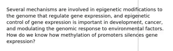 Several mechanisms are involved in epigenetic modifications to the genome that regulate <a href='https://www.questionai.com/knowledge/kFtiqWOIJT-gene-expression' class='anchor-knowledge'>gene expression</a>, and epigenetic control of gene expression is important in development, cancer, and modulating the genomic response to environmental factors. How do we know how methylation of promoters silences gene expression?