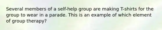 Several members of a self-help group are making T-shirts for the group to wear in a parade. This is an example of which element of group therapy?