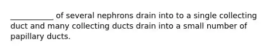 ___________ of several nephrons drain into to a single collecting duct and many collecting ducts drain into a small number of papillary ducts.